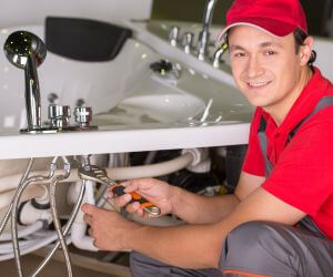 About Septic Pumping Service Hillsdale, NY